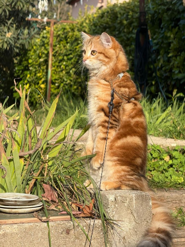 362bbea3-9e6e-5c04-ed58-2d71d444ce40_min