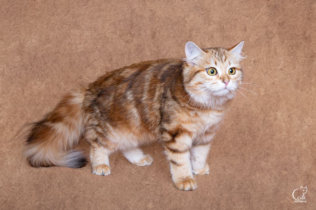 3a20d442-d94d-3854-6114-058705b4d1d4_min