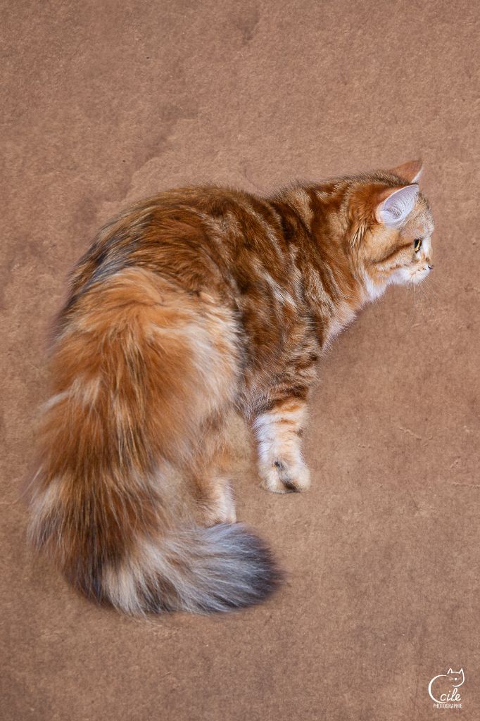 3a20d442-d94d-3854-6114-058705b4d1d4_mina