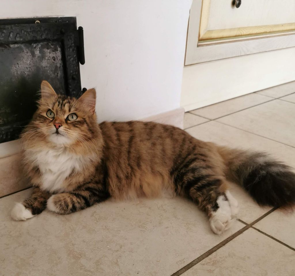 4bfe64af-768b-3694-ddfe-760a42f23261_min