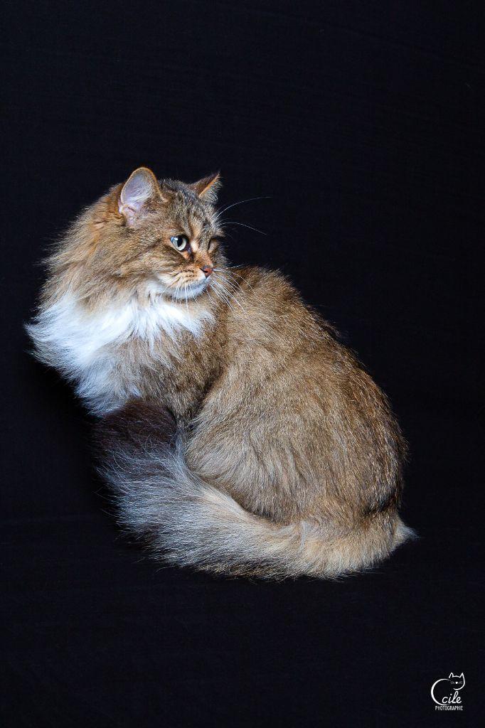 WhatsApp Image 2026-04-12 at 18.45.01