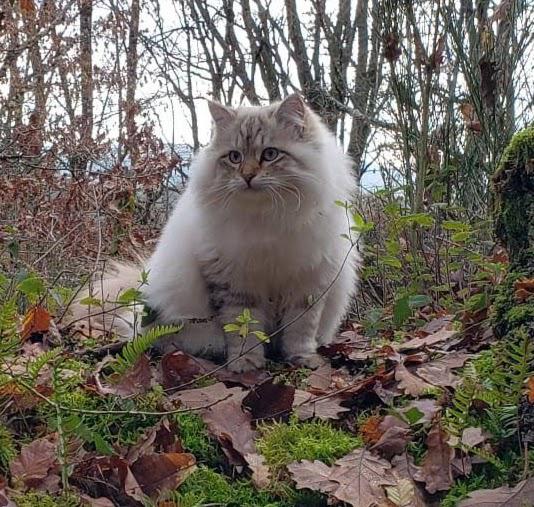 WhatsApp Image 2026-04-12 at 19.03.22