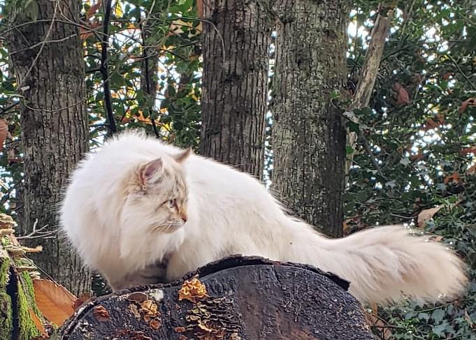 WhatsApp Image 2026-04-12 at 19.03.222