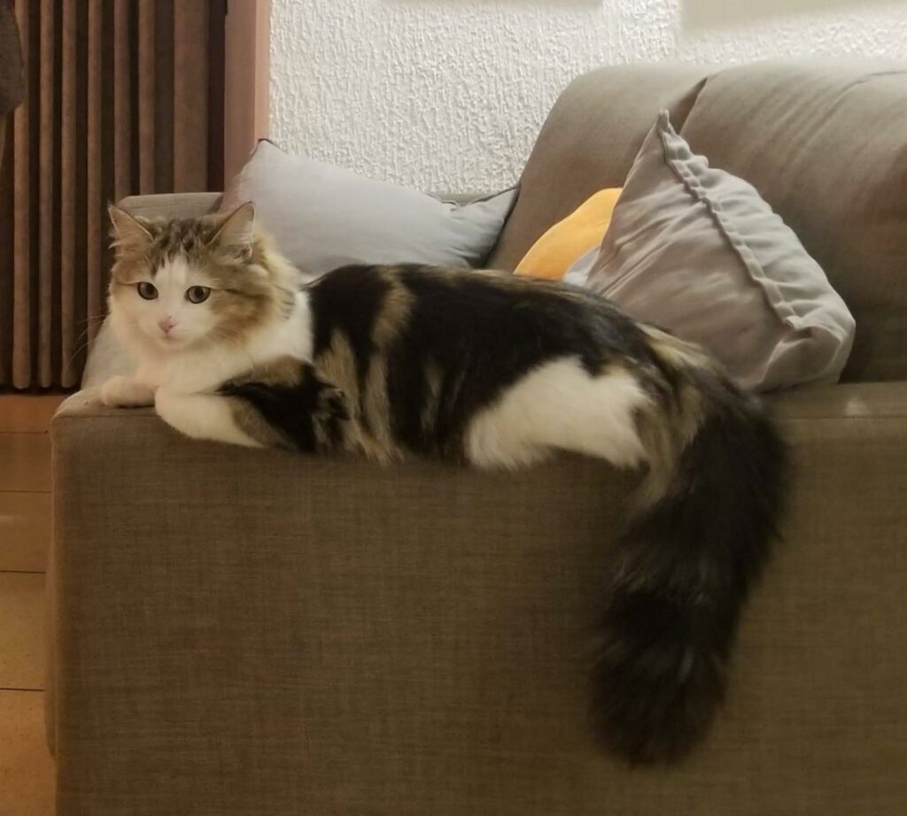 WhatsApp Image 2026-04-12 at 19.04.50